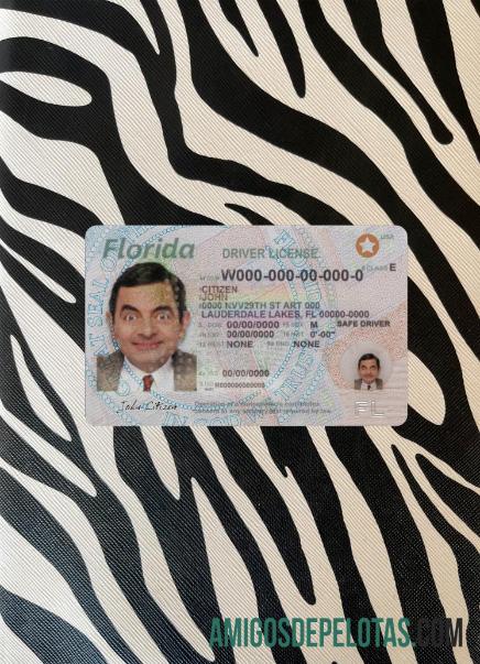 Carteira de motorista dos EUA na Flórida 2018 presente fotolook frente exemplo real